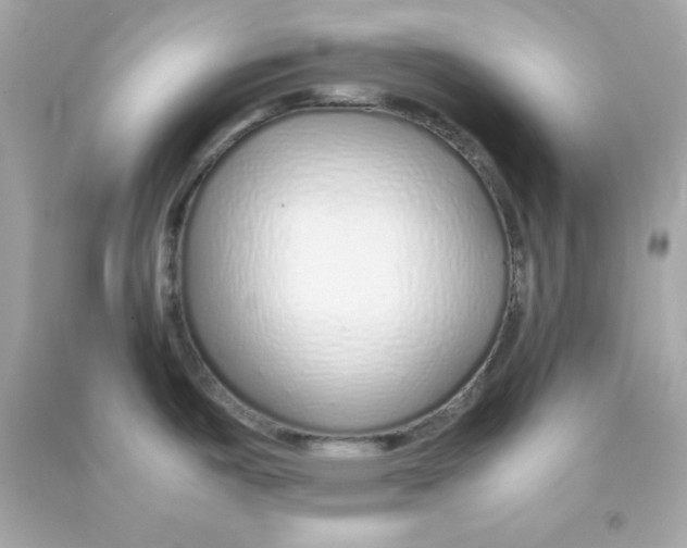 X0000090451487200708102038