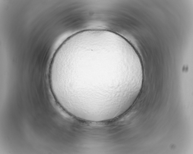 X0000090451488200708102038