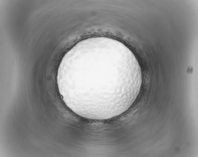 X0000090451489200708102037