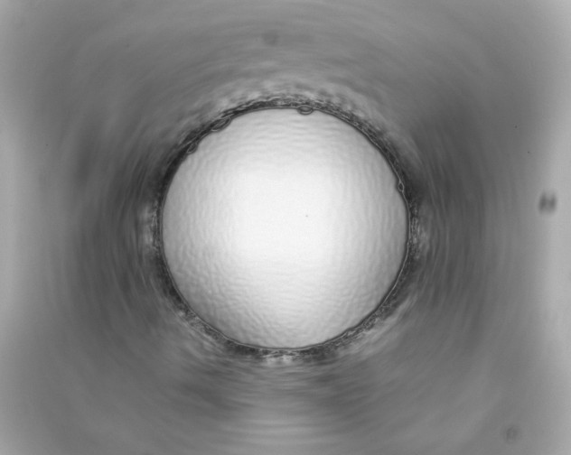 X0000090451490200708102037