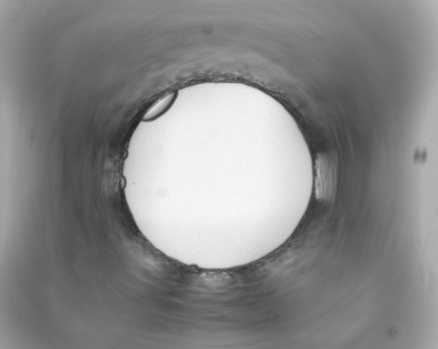 X0000090451491200708102037