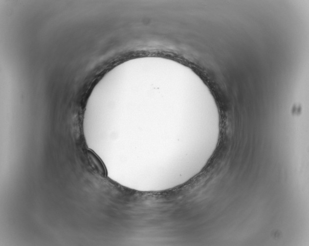 X0000090451493200708102037