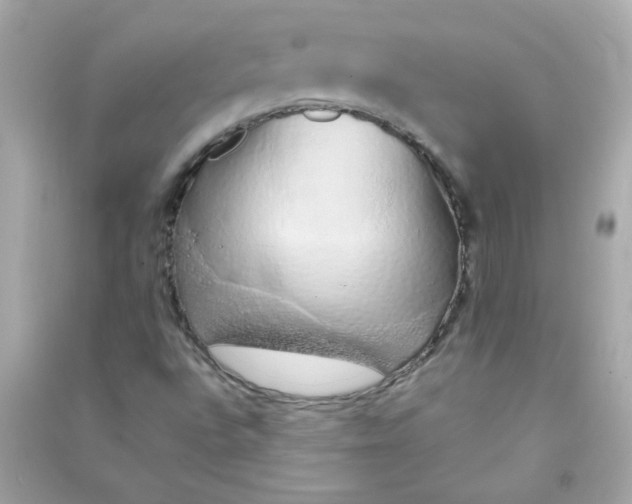 X0000090451496200708102037