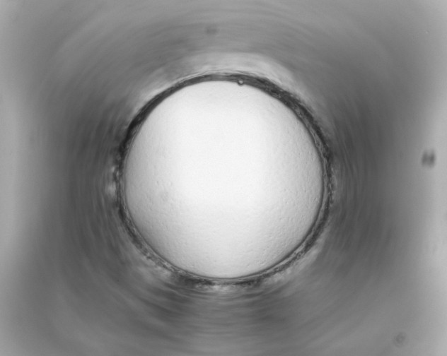 X0000090451497200708102037