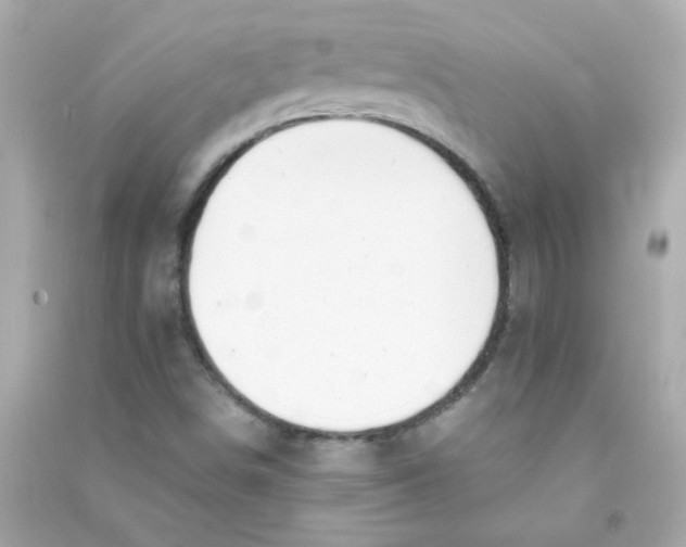 X0000090451498200708102037