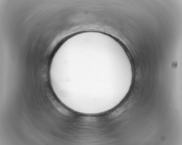 X0000090451499200708102037