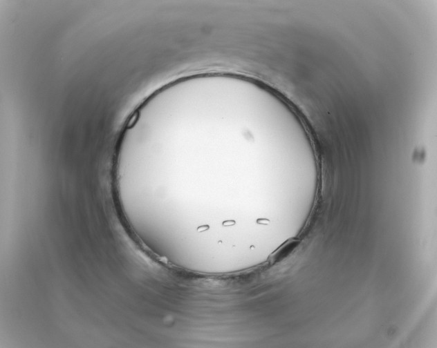 X0000090451500200708102037