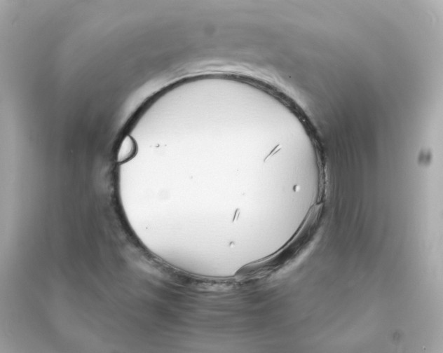 X0000090451501200708102037