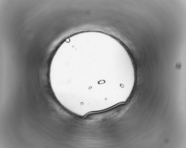 X0000090451502200708102037