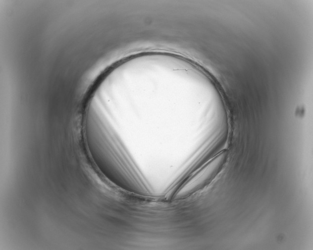 X0000090451503200708102037