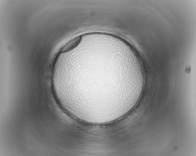 X0000090451504200708102037