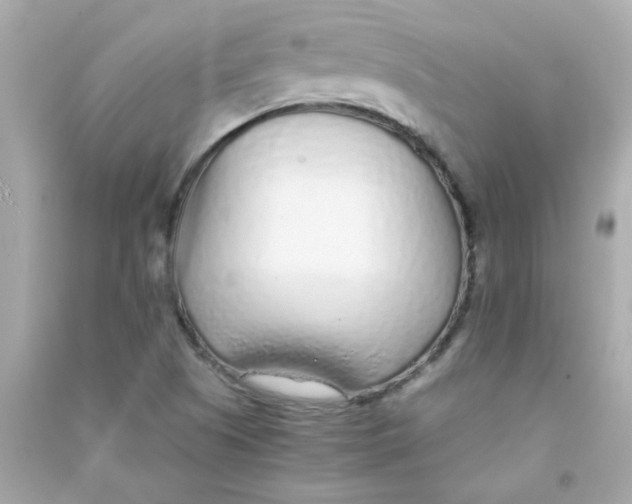 X0000090451505200708102038