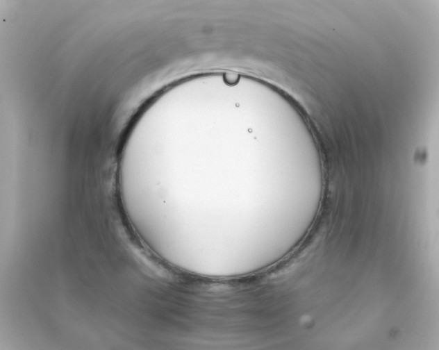 X0000090451507200708102038