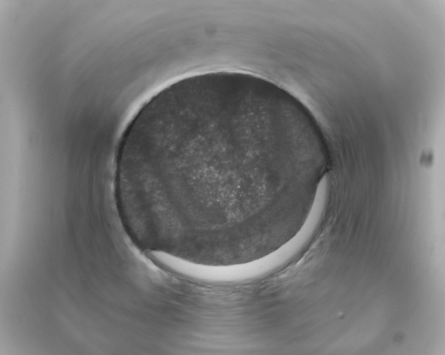 X0000090451508200708102038