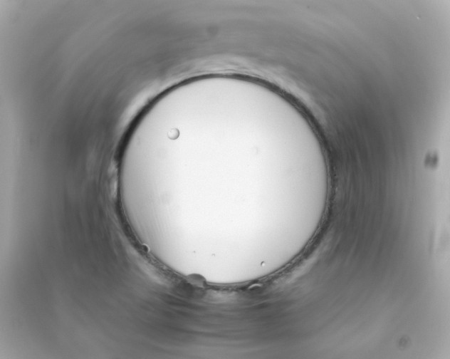 X0000090451509200708102038