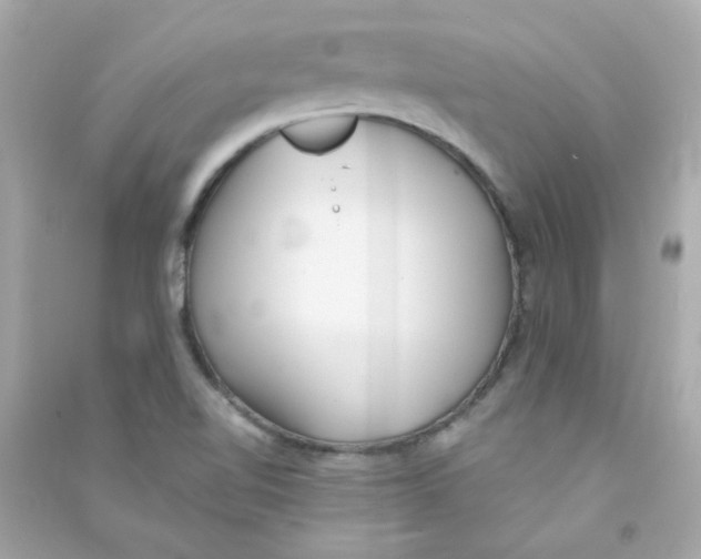 X0000090451510200708102038