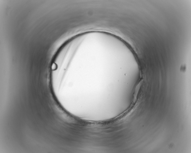 X0000090451511200708102038