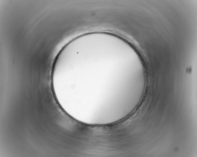 X0000090451512200708102038