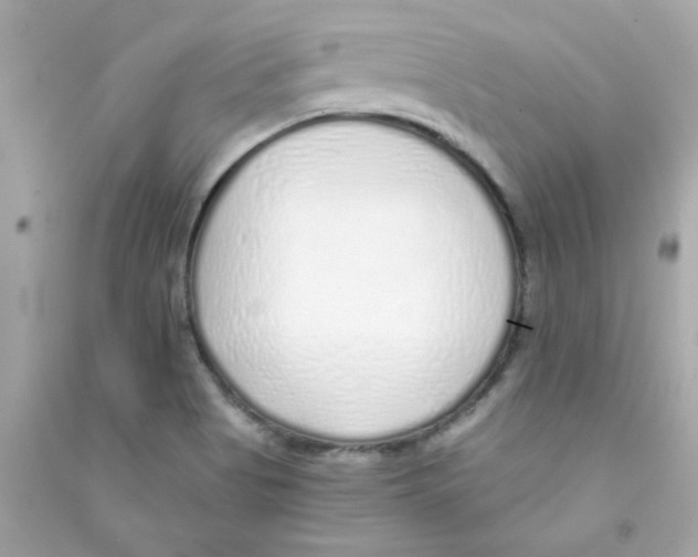 X0000090451513200708102038