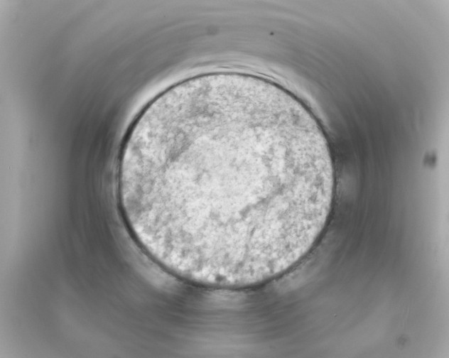 X0000090451514200708102038