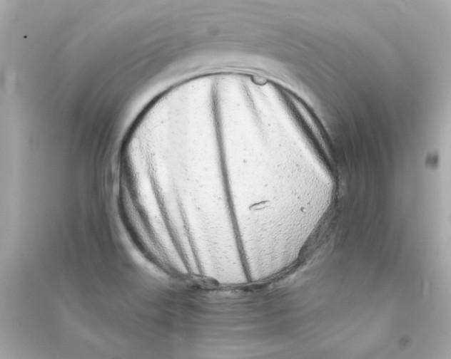 X0000090451515200708102038