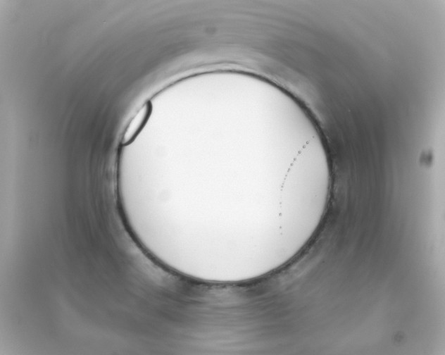 X0000090451516200708102038