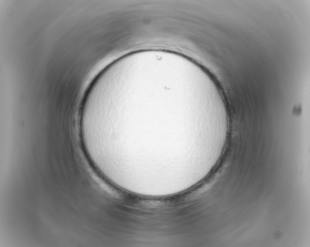 X0000090451517200708102038