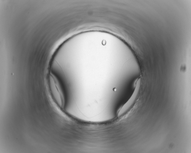 X0000090451518200708102038