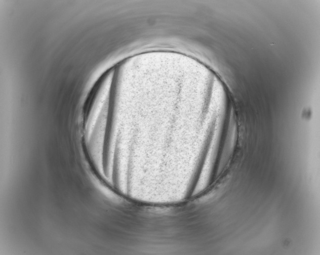 X0000090451519200708102038