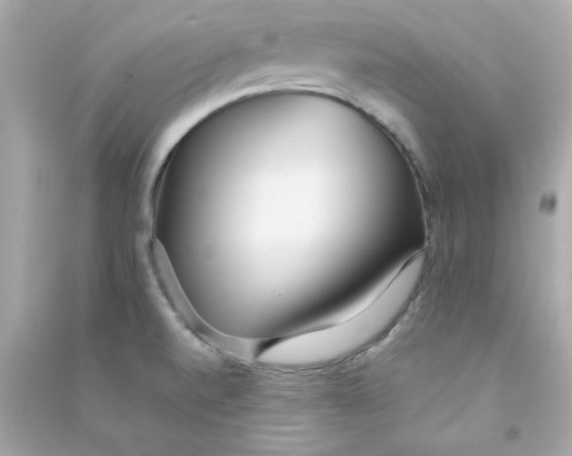 X0000090451520200708102038