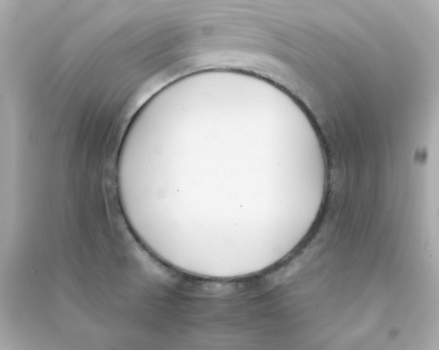 X0000090451521200708102038