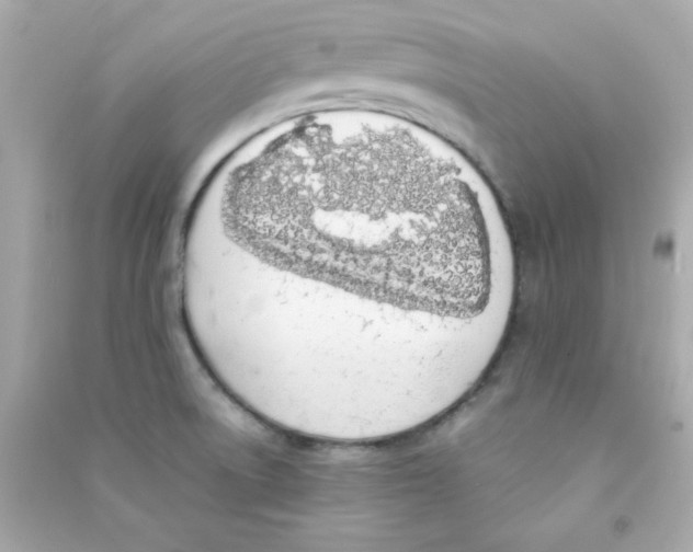 X0000090451522200708102038