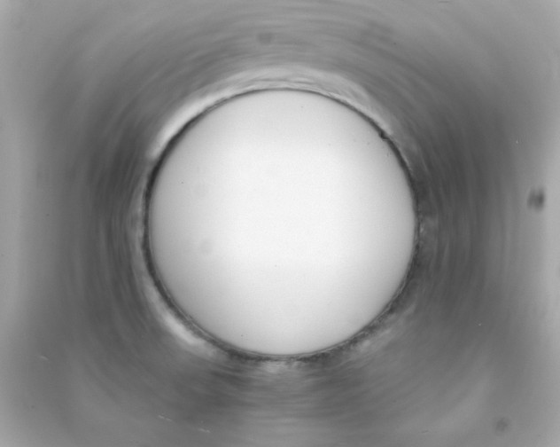 X0000090451523200708102038