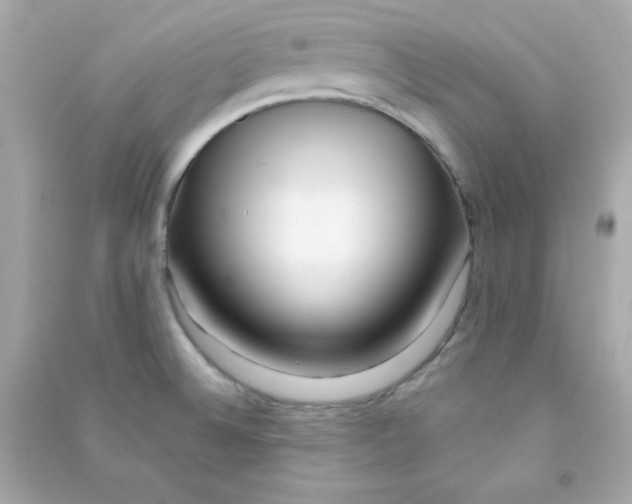 X0000090451524200708102038