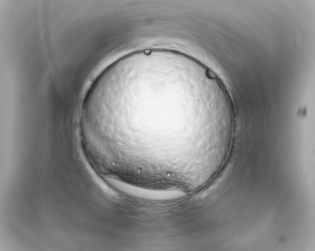 X0000090451525200708102038