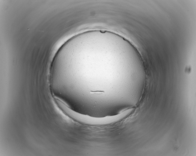 X0000090451527200708102038