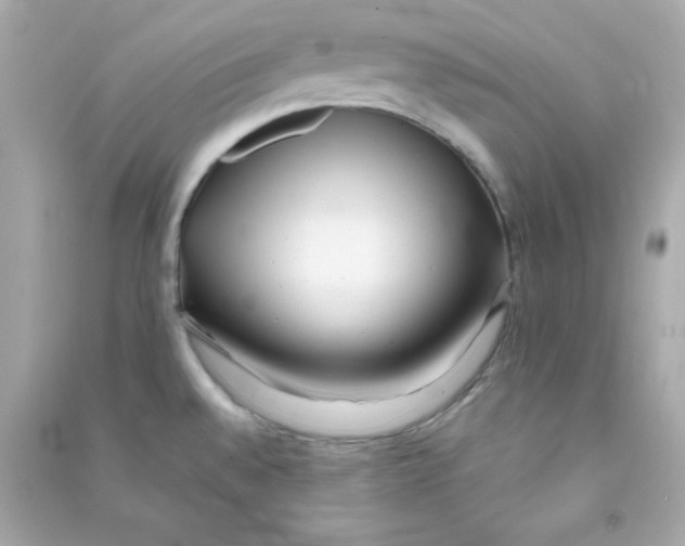 X0000090451528200708102038