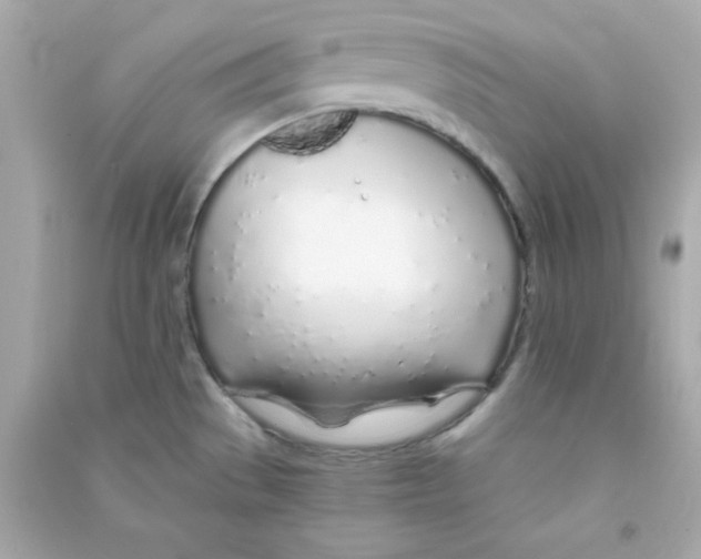 X0000090451529200708102038