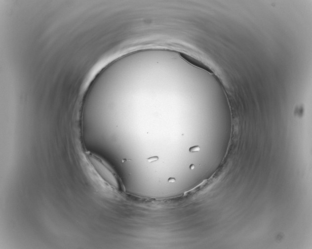 X0000090451530200708102038