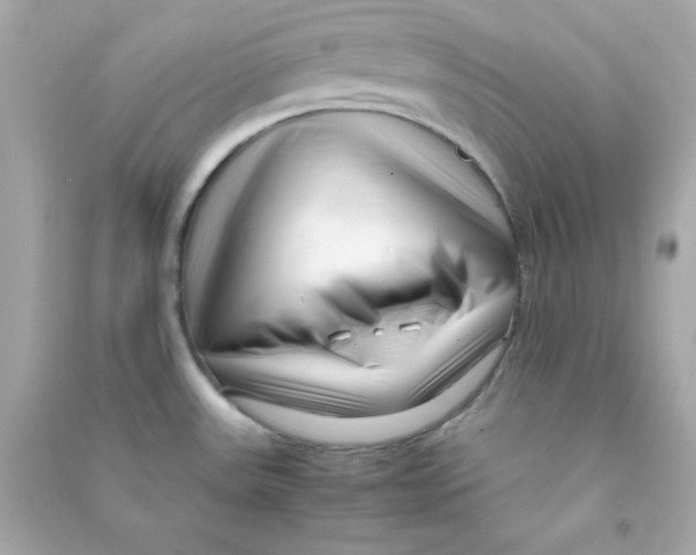 X0000090451531200708102038