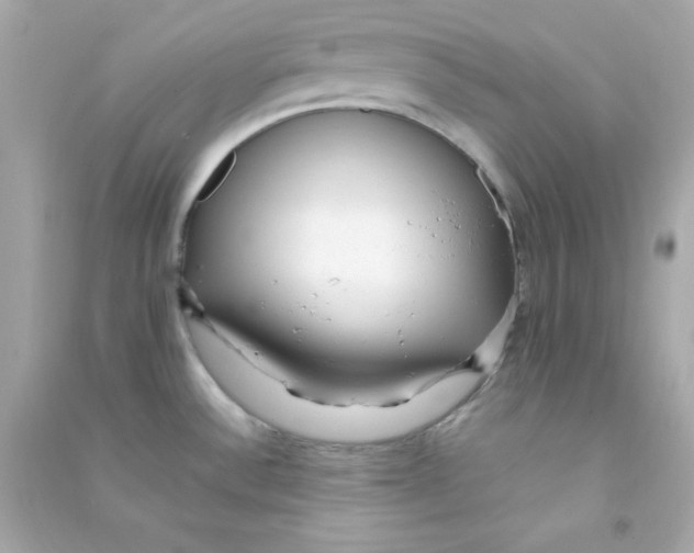 X0000090451532200708102038