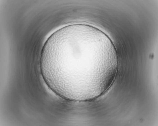 X0000090451534200708102038