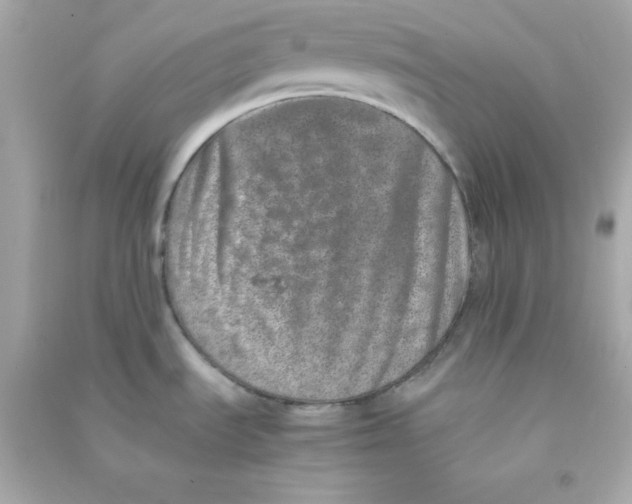 X0000090451535200708102038