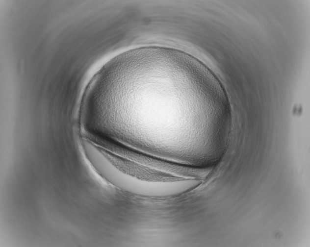 X0000090451536200708102038