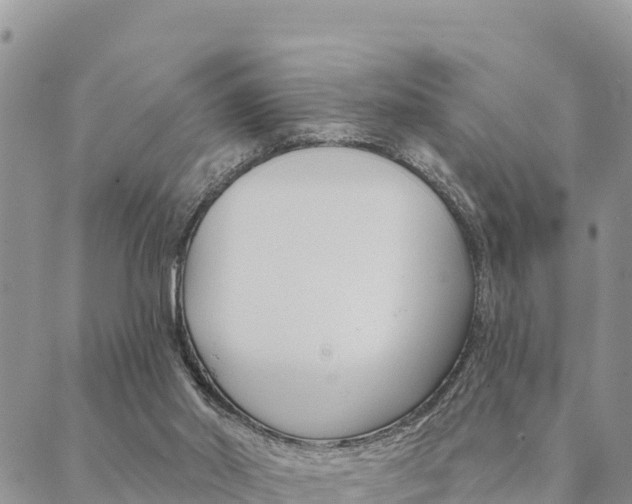 X0000090460014200707131005