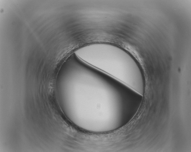 X0000090460017200707131005