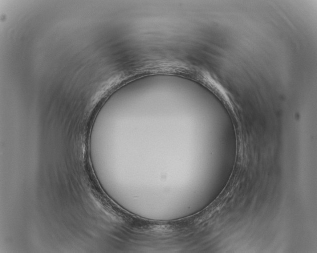 X0000090460059200707131004