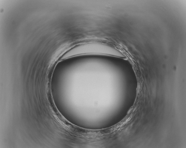 X0000090460101200707131003