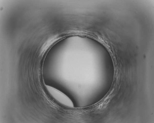X0000090460103200707131003
