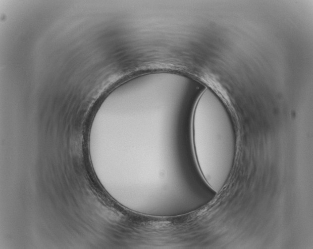 X0000090460108200707131003